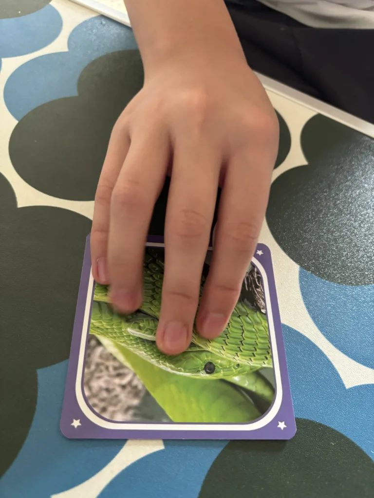 Cortex Challenge Kids by Zygomatic - Review