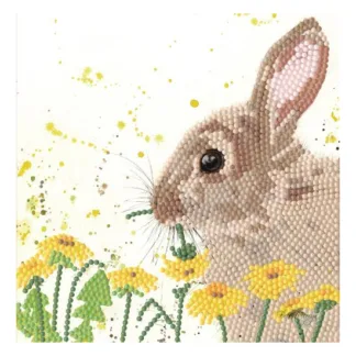 Bree Merryn Sparkle Art Card Dandelion Delight