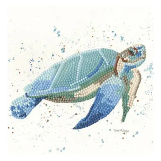 Bree Merryn Sparkle Art Card Tarquin