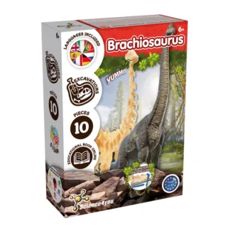 Brachiosaurus Fossil Excavation by Science4You