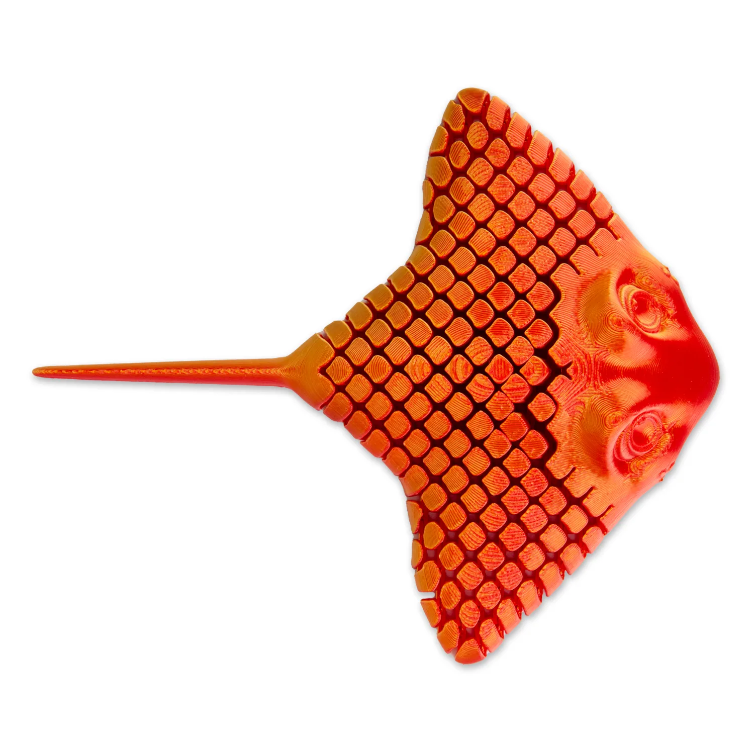 3D Printed Stingray by HGL