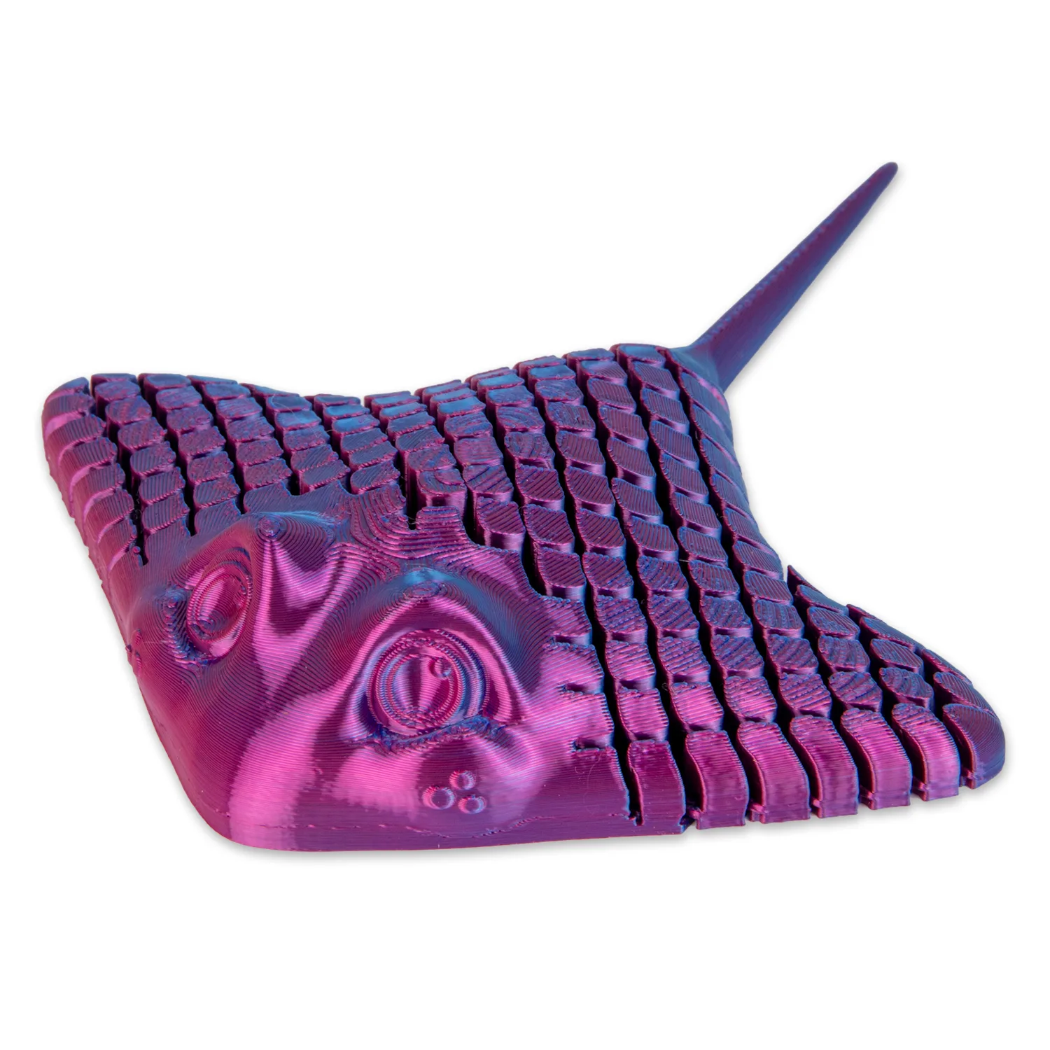 3D Printed Stingray by HGL